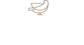 Cambridge White Dove