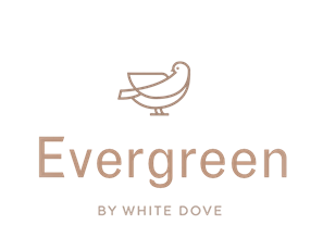 Evergreen White Dove