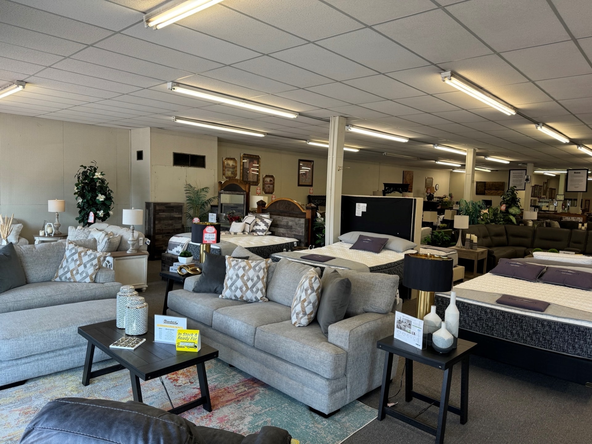 showroom1