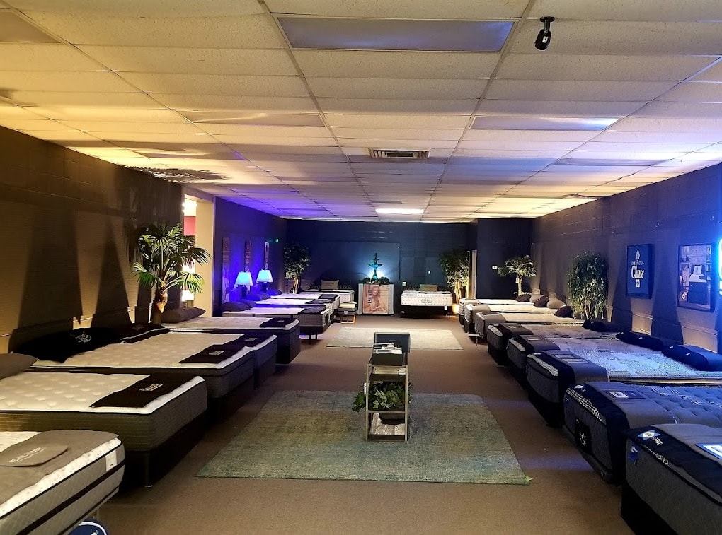 showroom2