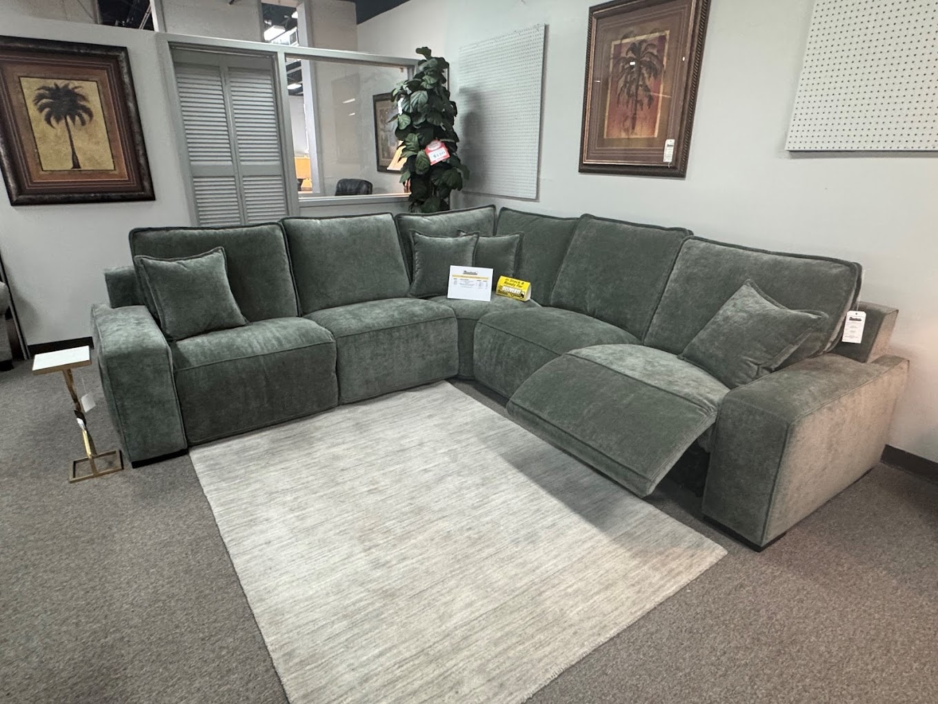 showroom 5
