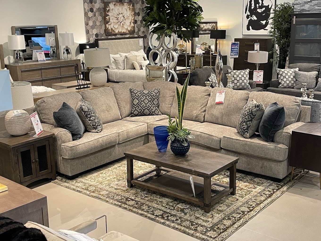 showroom 3