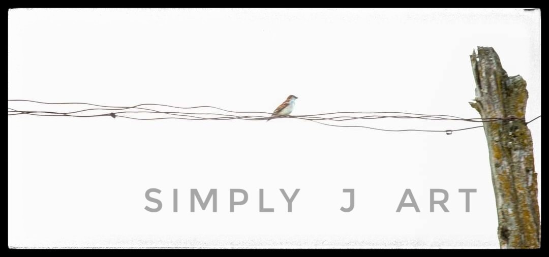 Simply J Art