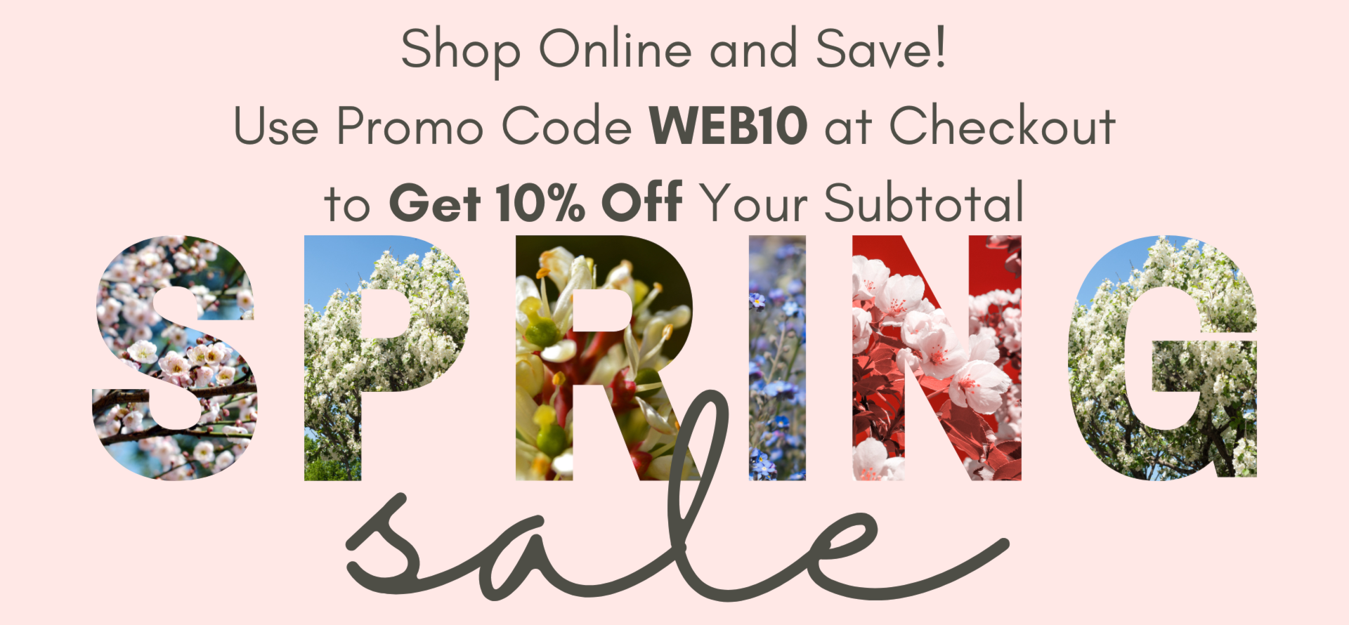 Spring Sale, use code WEB10 at check to save 10%