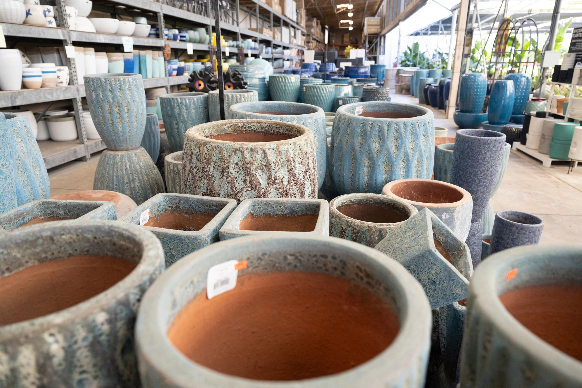 wide shot of the tops of ceramic pots