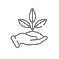 icon of a hand holding a plant