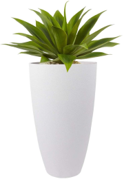 white outdoor planter with green leaves