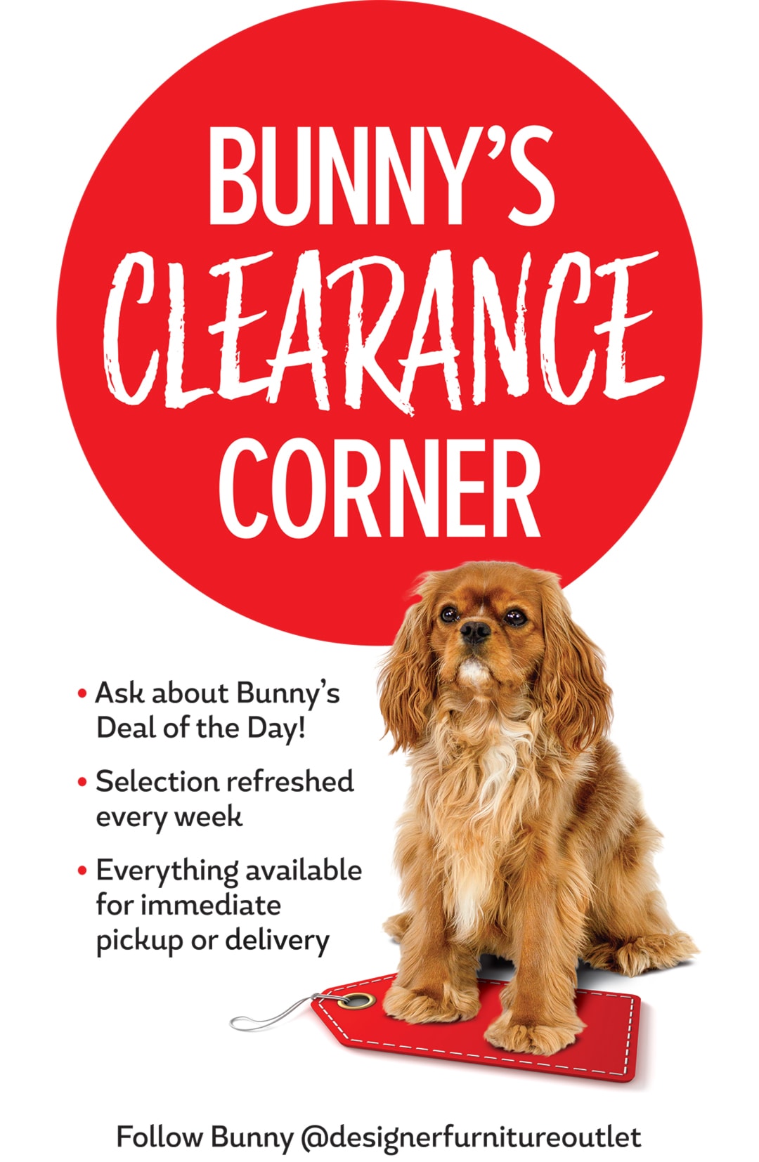 Bunny's clearance