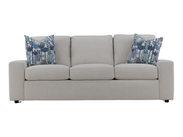 sleeper sofa