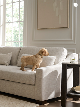 Universal Furniture Living Room Furniture with a Dog Standing on a Sofa