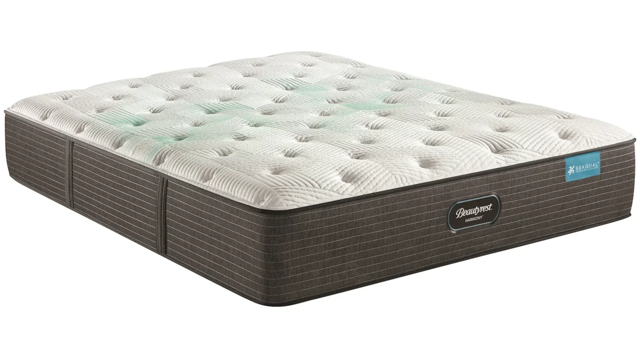 Picture of a mattress with no bed or bedding. 