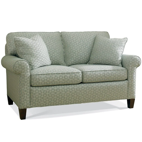 light green patterned loveseat with matching throw pillows