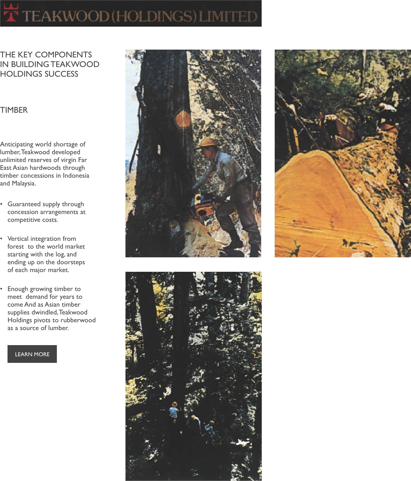 Components to Teakwood Holdings Success.