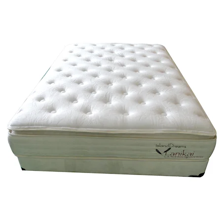 Queen Plush Mattress